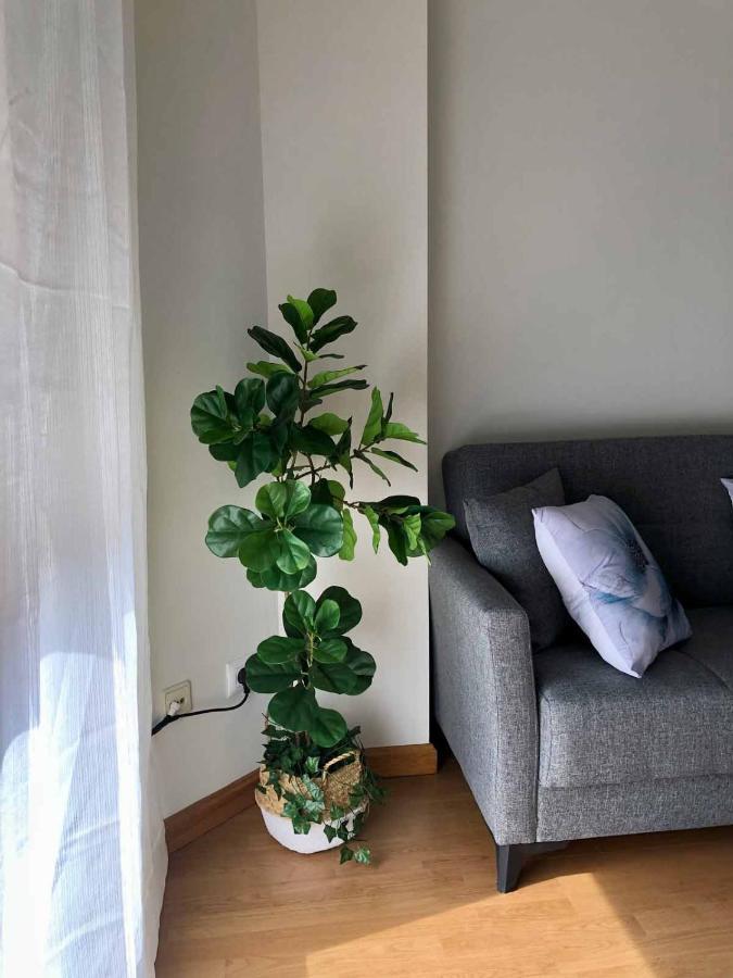 Apartamentos Schultz Хіхон Екстер'єр фото